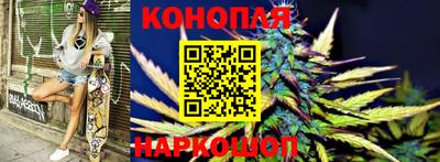 прущие грибы Ипатово