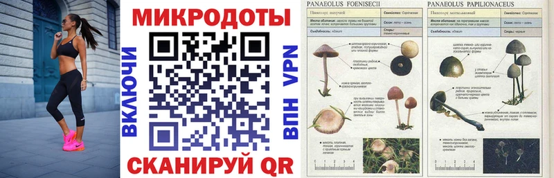 площадка состав  Пенза  Псилоцибиновые грибы GOLDEN TEACHER 