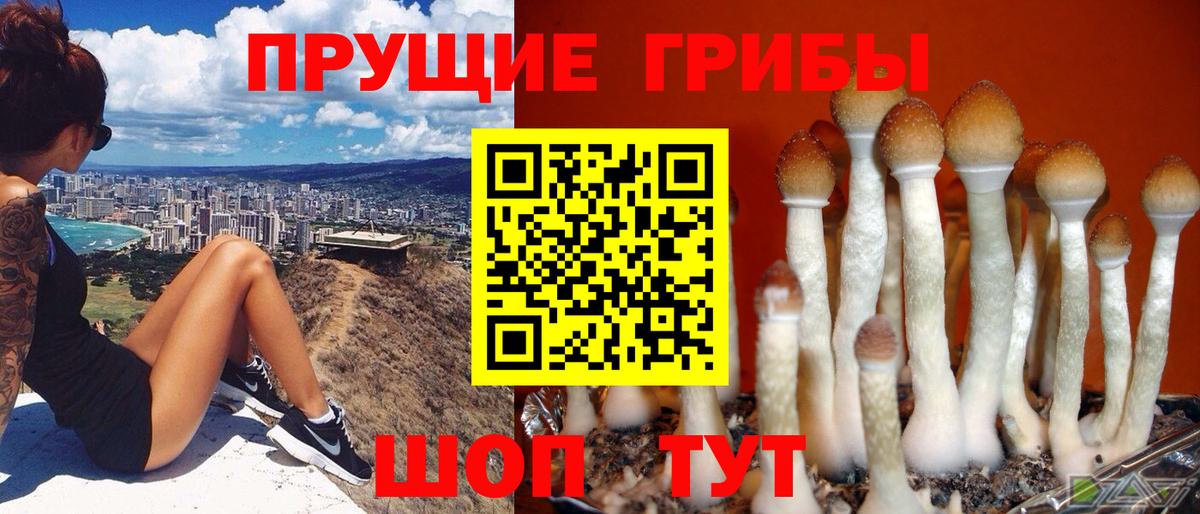 Псилоцибиновые грибы ЛСД Пенза