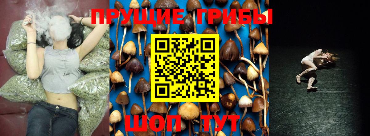 купить   Галлюциногенные грибы мухоморы  Вход с VPN  Пенза 