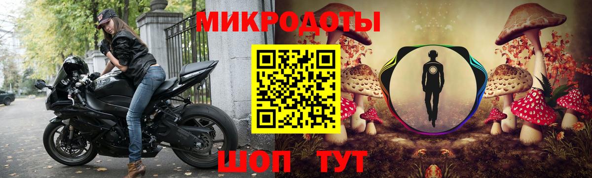 Псилоцибиновые грибы Cubensis  Пенза 