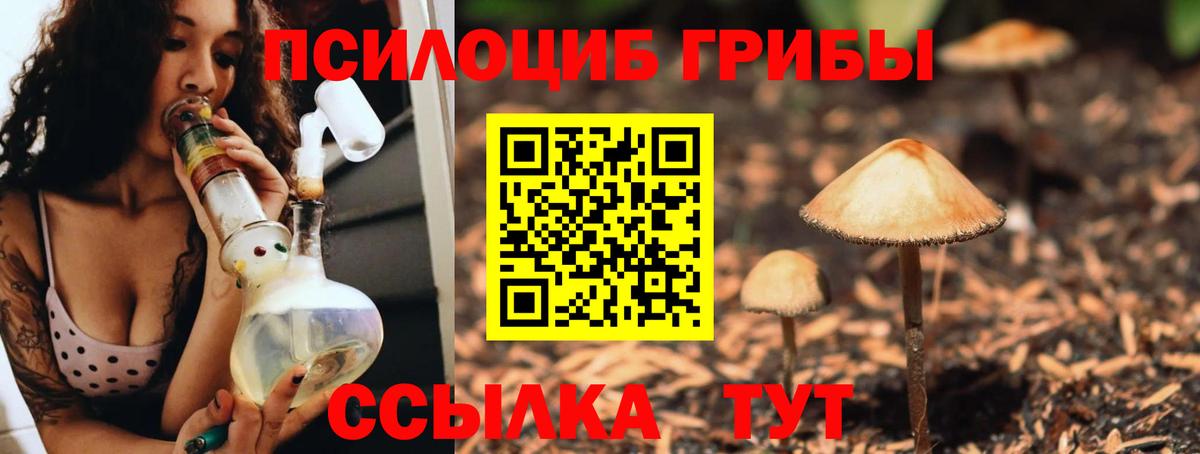 Галлюциногенные грибы мухоморы Пенза